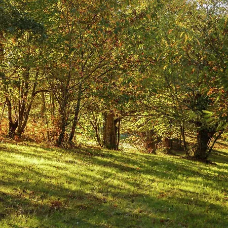 Beautiful With Nature Views *