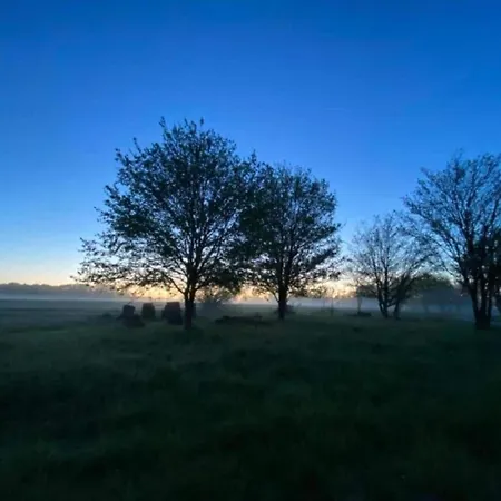 Beautiful With Nature Views *