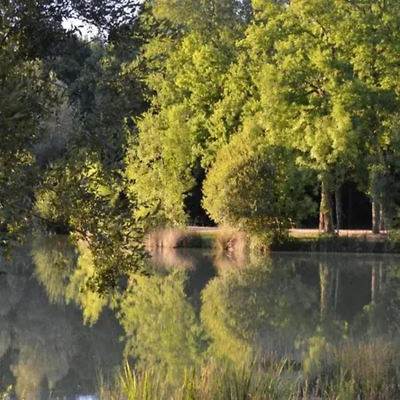 Beautiful With Nature Views *