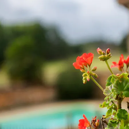 Semesterbostad Charming Family Retreat In Loubejac